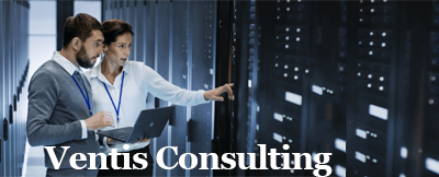 Ventis Consulting Group